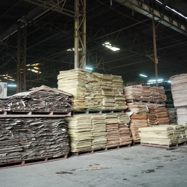 WhatsApp Image 2023-08-12 at 2.17.47 PM (1)