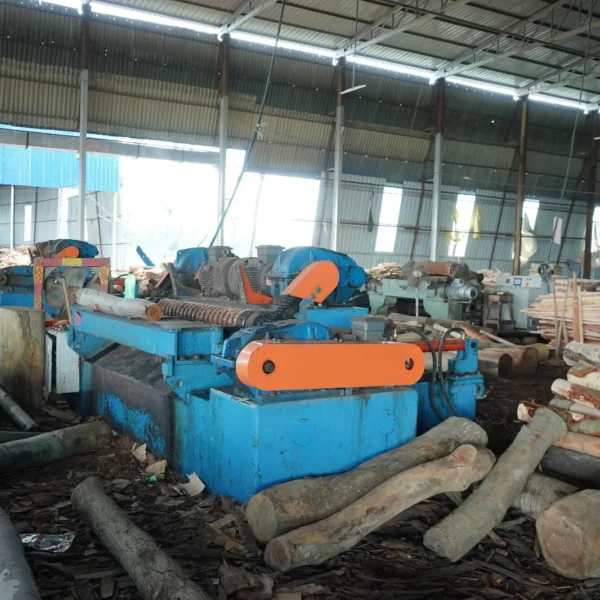 WhatsApp Image 2023-08-12 at 2.17.48 PM (1)