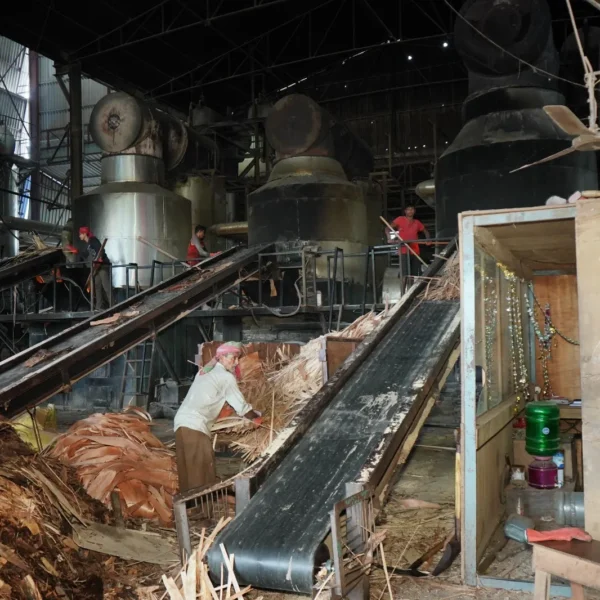 WhatsApp Image 2023-08-12 at 2.17.49 PM (1)