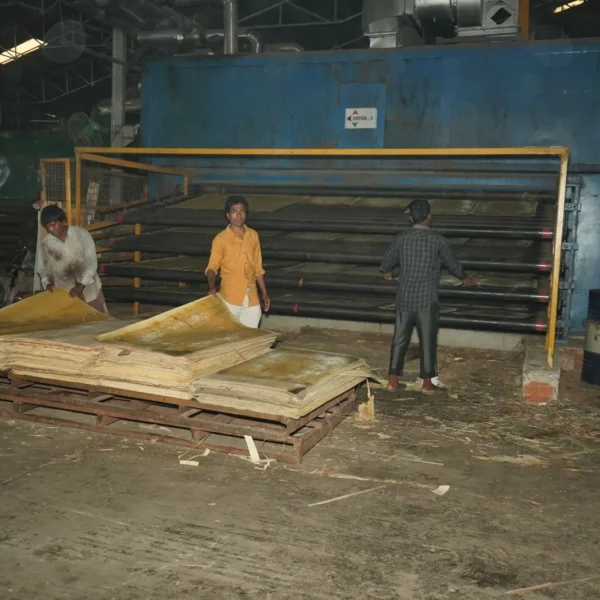 WhatsApp Image 2023-08-12 at 2.17.49 PM (2)