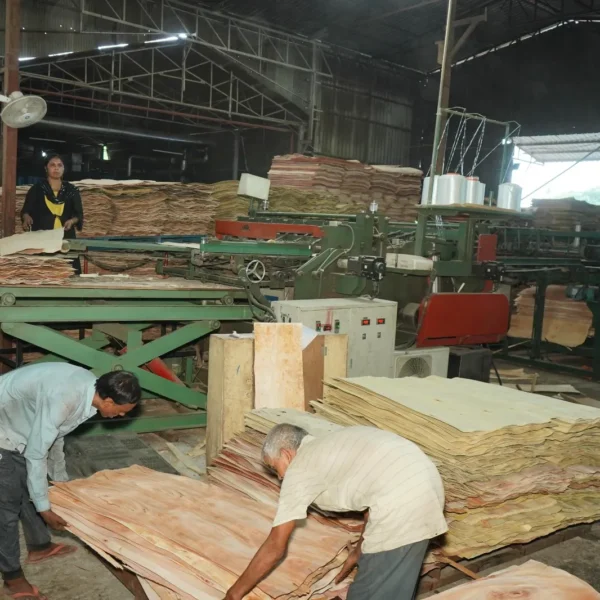 WhatsApp Image 2023-08-12 at 2.17.51 PM (1)