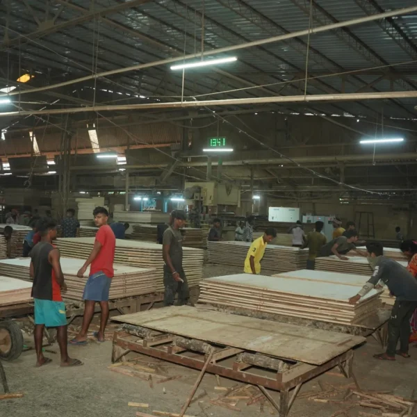 WhatsApp Image 2023-08-12 at 2.17.52 PM (1)