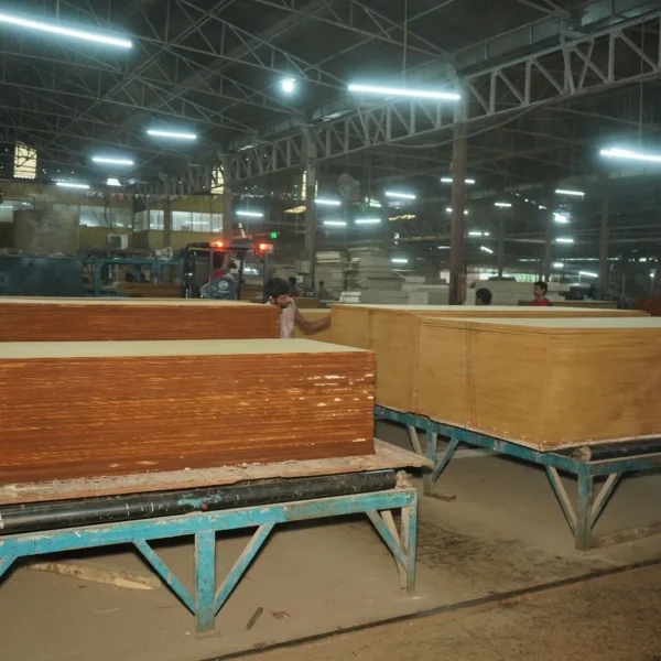 WhatsApp Image 2023-08-12 at 2.17.52 PM (2)