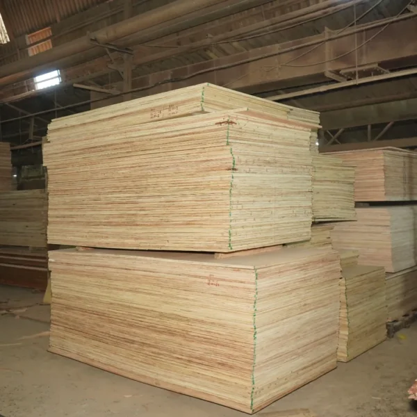 WhatsApp Image 2023-08-12 at 2.17.52 PM