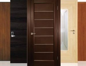 flush-door-300x300-1
